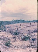 1 area outside Ben Hoa wire